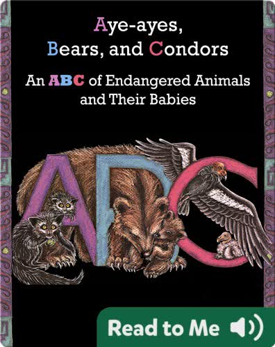 Aye-Ayes, Bears, and Condors