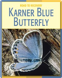 Road To Recovery: Karner Blue Butterfly
