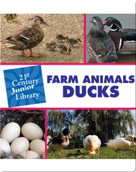 Farm Animals: Ducks