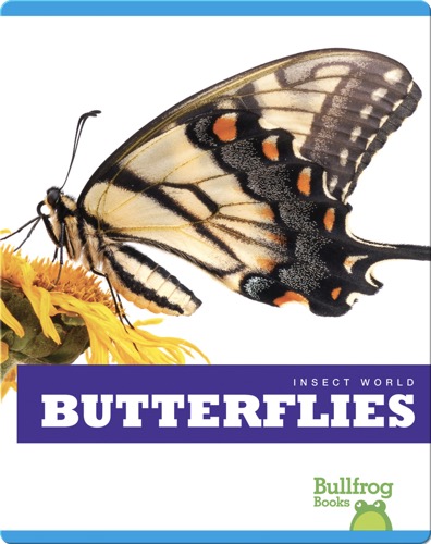 Insect World: Butterflies