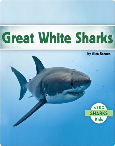 Great White Sharks
