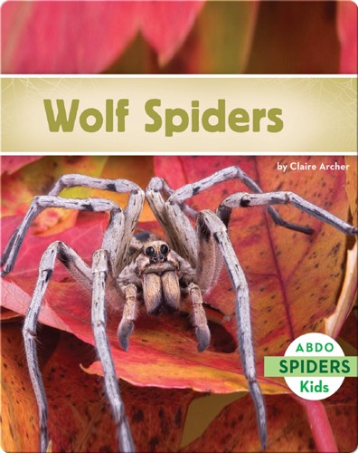 Wolf Spiders