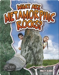 What Are Metamorphic Rocks?