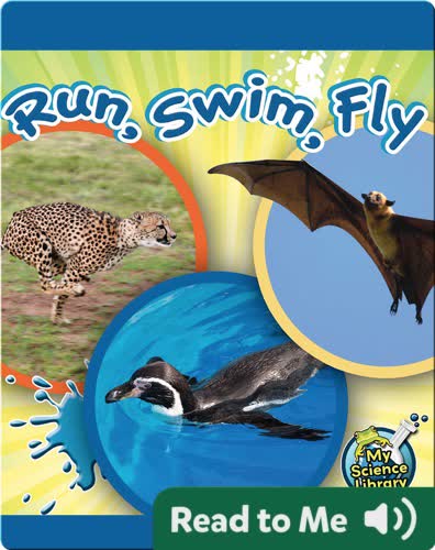 Run, Swim, Fly