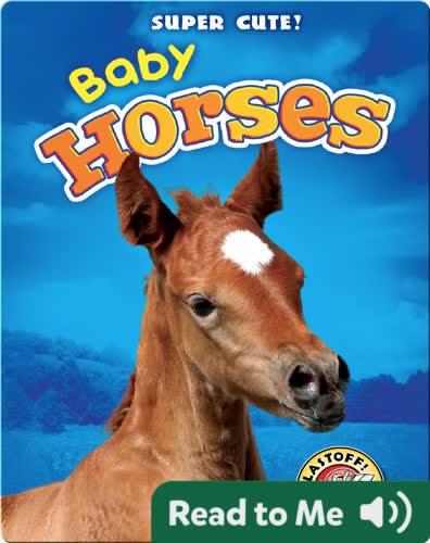 Super Cute! Baby Horses