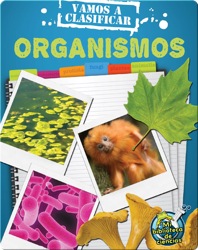 Vamos a clasificar organismos