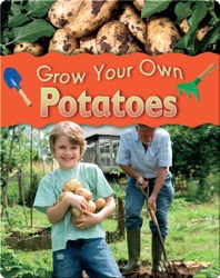 Potatoes