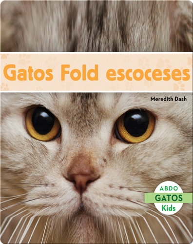 Gatos Fold escoceses
