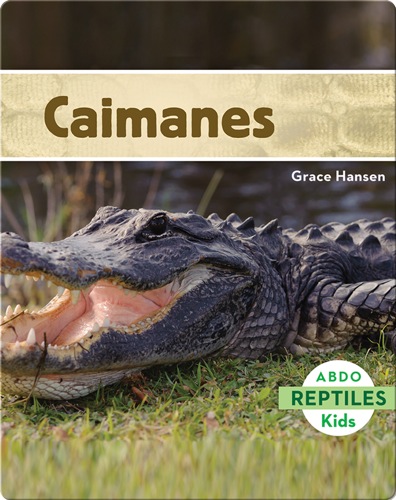 Caimanes