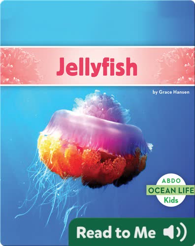 Jellyfish
