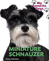 Miniature Schnauzer