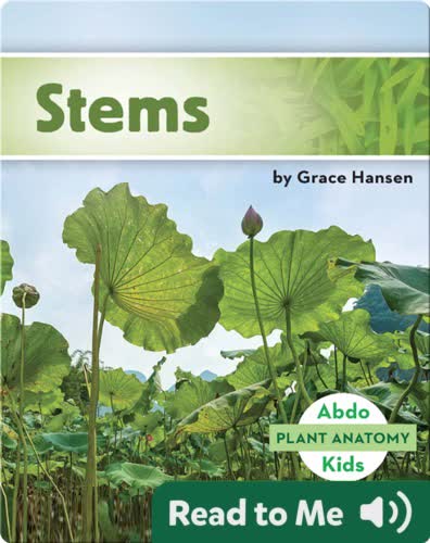 Stems