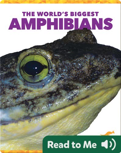 The World's Biggest Amphibians
