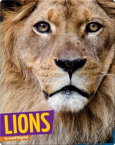 Lions