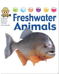 Freshwater Animals