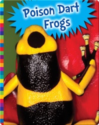 Poison Dart Frogs