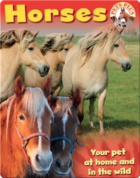 Horses
