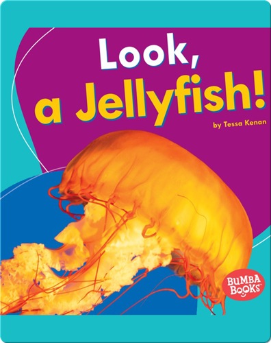 Look, a Jellyfish!