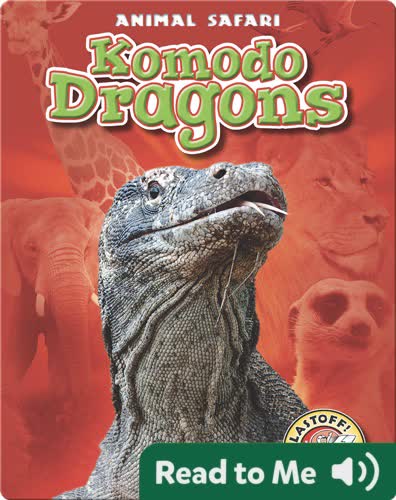 Komodo Dragons
