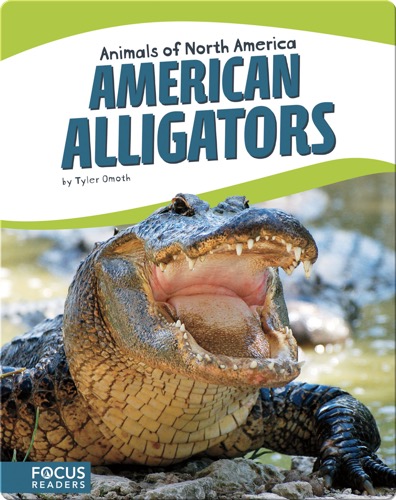 American Alligators