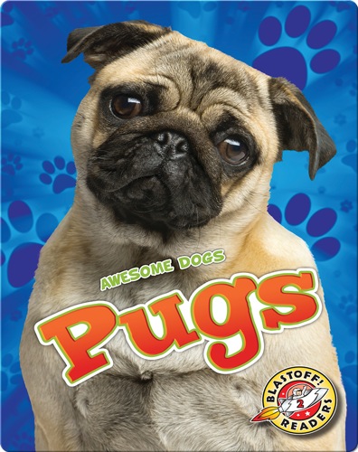 Awesome Dogs: Pugs