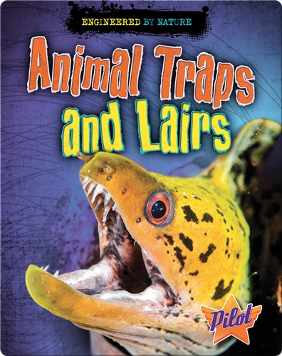 Animal Traps and Lairs