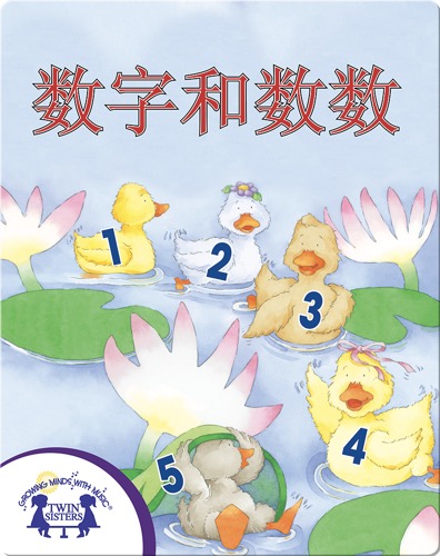 数字和数数