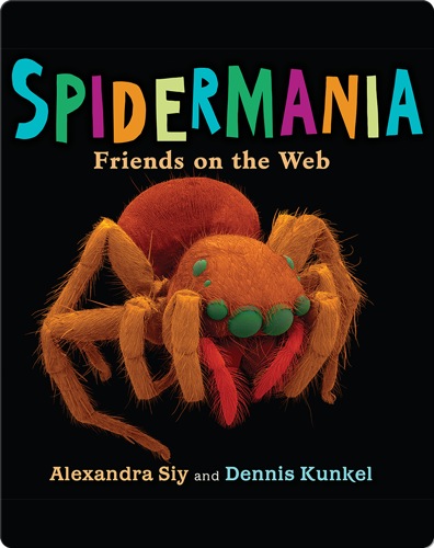 Spidermania: Friends on the Web