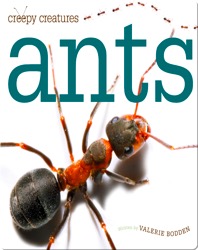 Ants