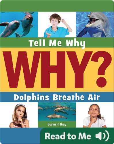 Dolphins Breathe Air