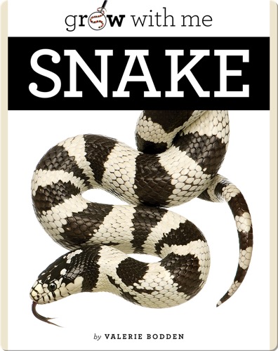 Snake