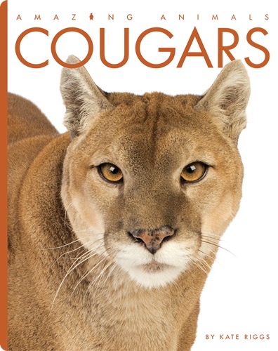 Cougars