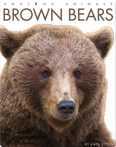 Brown Bears