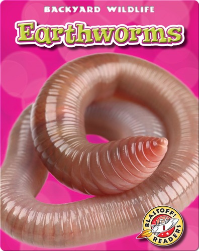 Backyard Wildlife: Earthworms