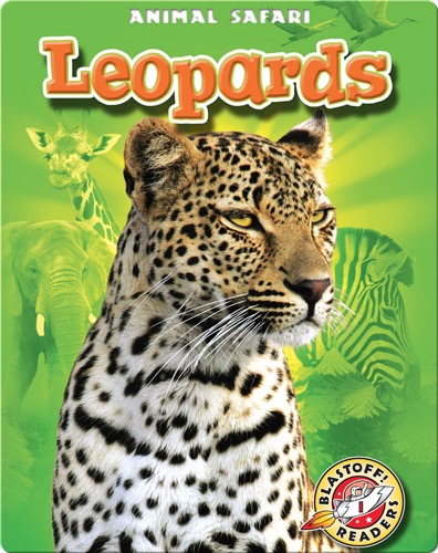Leopards: Animal Safari