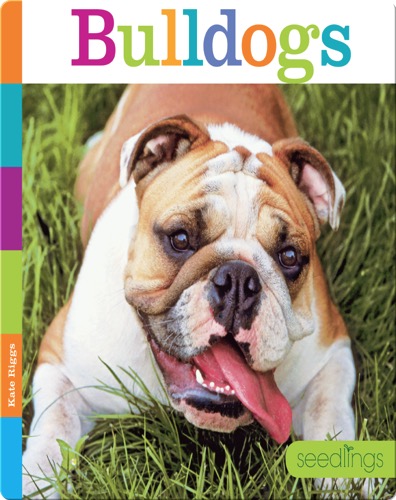 Bulldogs