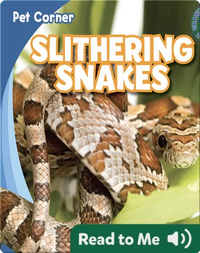 Slithering Snakes