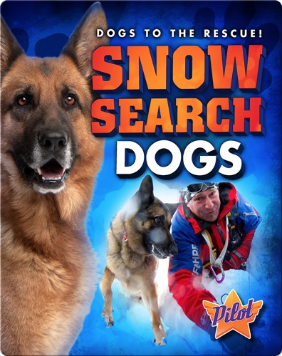 Snow Search Dogs