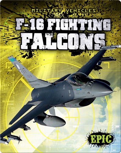 F-16 Fighting Falcons