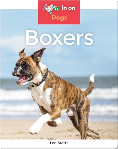 Boxers