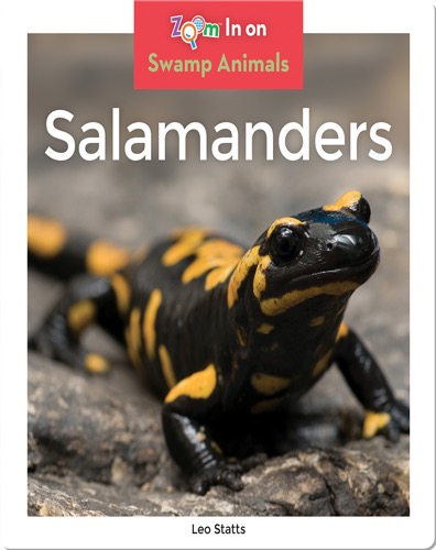 Salamanders