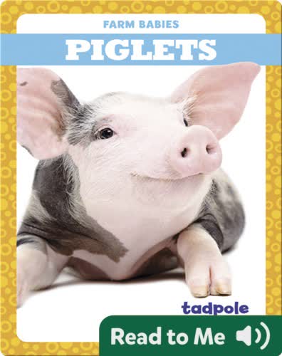 Piglets