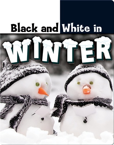 Black and White in Winter