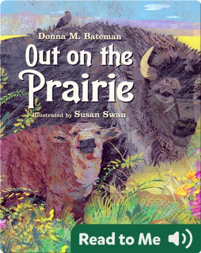Out on the Prairie