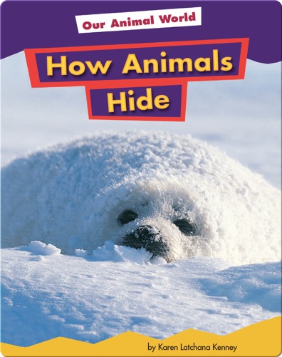 How Animals Hide