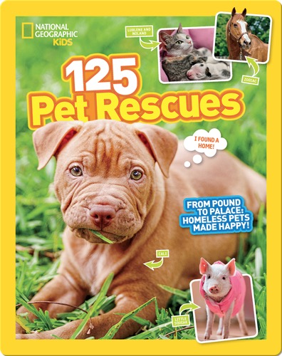 125 Pet Rescues: From Pound to Palace