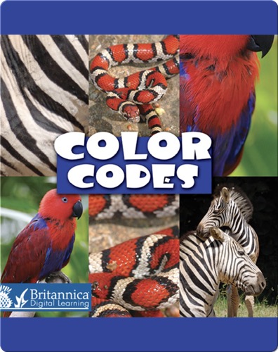 Color Codes