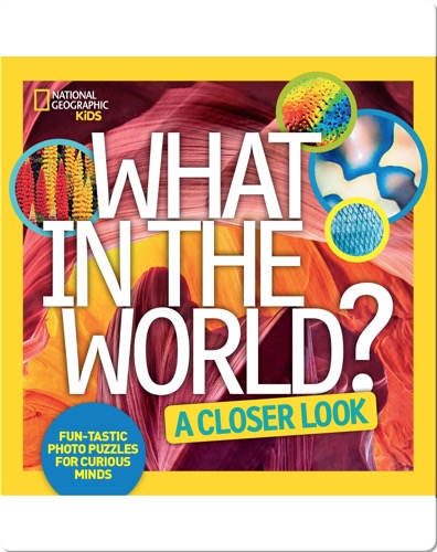 What in the World: A Closer Look