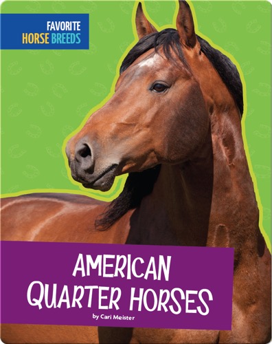 American Quarter Horses