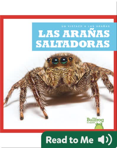 Las arañas saltadoras